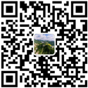 鼓動(dòng)溜槽